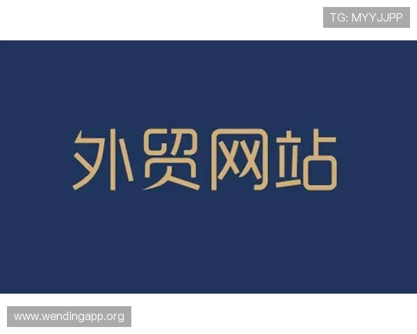 问鼎旗舰网站：如何利用数据分析持续优化网站运营效果实现持续增长