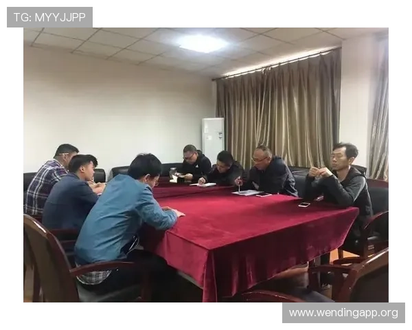 问鼎登陆：打造核心竞争力实现行业领先的详细规划与执行方案