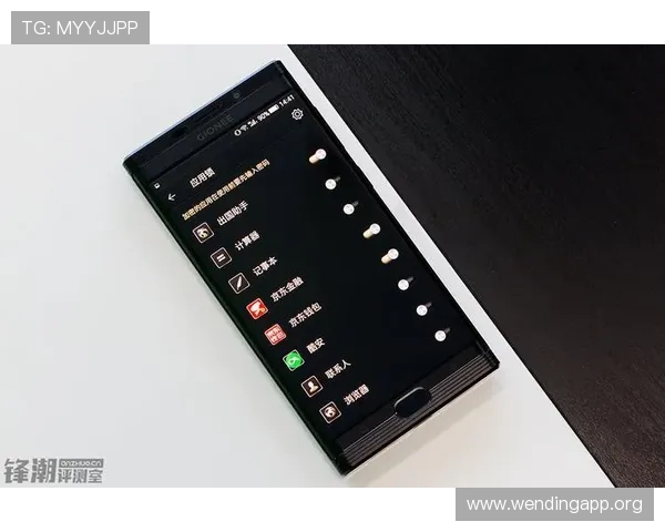 问鼎网页网址的安全性保障措施及用户隐私保护策略详解